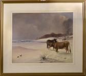 BISHOP Harry Cow And A Bull In A Winter Setting BISHOP Harry Cow And A Bull In A Winter Setting