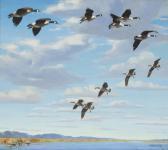 BISHOP Richard Evett Circling In - Canada Geese BISHOP Richard Evett Circling In - Canada Geese