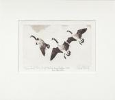 BISHOP Richard Evett Federal Duck Stamp Design BISHOP Richard Evett Federal Duck Stamp Design