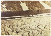 BISSON FRERES LOUIS & AUGUSTE Glacier Du Lauter-aar BISSON FRERES LOUIS & AUGUSTE Glacier Du Lauter-aar