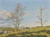 BLACK Geoffrey Campbell Dartmoor BLACK Geoffrey Campbell Dartmoor