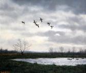 BLACK Geoffrey Campbell Ducks In Flight BLACK Geoffrey Campbell Ducks In Flight