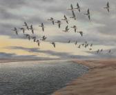 BLACK Geoffrey Campbell Geese In Flight BLACK Geoffrey Campbell Geese In Flight
