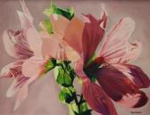 BLAGRAVE C Tropical Flowers BLAGRAVE C Tropical Flowers