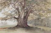 BLAINE J. A. Knole Park BLAINE J. A. Knole Park