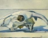BLAKE Pippa Sheep Skull BLAKE Pippa Sheep Skull