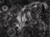 BLAKEMORE John Chimerical Landscapes No.3 BLAKEMORE John Chimerical Landscapes No.3