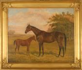 BLANK Charles Portrait Of A Horse And Pony BLANK Charles Portrait Of A Horse And Pony