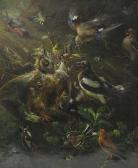 BLANKENBURG Adolf Vogeldarstellungen BLANKENBURG Adolf Vogeldarstellungen