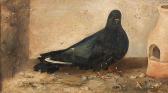 BLASCO Jose Ruiz Paloma Negra BLASCO Jose Ruiz Paloma Negra