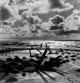 BLEICKEN Bleicke Abendlicht Ii, Sylt BLEICKEN Bleicke Abendlicht Ii, Sylt
