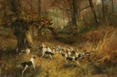 BLINKS Thomas The Fox Hunt BLINKS Thomas The Fox Hunt