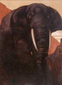 BLONAY de Marguerite Anne L'elephant BLONAY de Marguerite Anne L'elephant