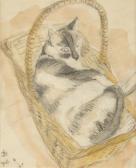 BLUEMNER Oscar Florianus A Cat In A Basket BLUEMNER Oscar Florianus A Cat In A Basket