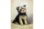 BODEN Margaret Yorkshire Terrier Puppy BODEN Margaret Yorkshire Terrier Puppy