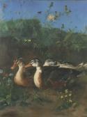 BOETTGER E. Drei Enten BOETTGER E. Drei Enten