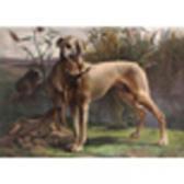 BOGLIANI Enrico Run Toground Signed, Oil On Canvas 32 1/2 X 44in BOGLIANI Enrico Run Toground Signed, Oil On Canvas 32 1/2 X 44in