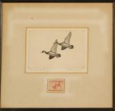 BOHL Walter E. Federal Duck Stamp Design 1943 BOHL Walter E. Federal Duck Stamp Design 1943