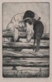 BOHL Walter E. Labrador Retriever BOHL Walter E. Labrador Retriever