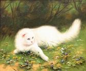bolevadzsky White Cat In Grass bolevadzsky White Cat In Grass