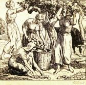 BONERT O.R. Fruit-picking BONERT O.R. Fruit-picking