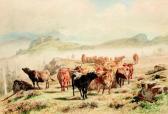 BONHEUR La Transhumance BONHEUR La Transhumance