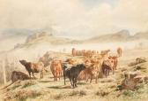 BONHEUR La Transhumance BONHEUR La Transhumance