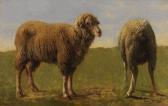 BONHEUR Rosa Tierstudie: Zwei Schafe BONHEUR Rosa Tierstudie: Zwei Schafe