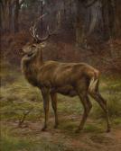 BONHEUR Rosa Marie Stag In An Autumn Landscape BONHEUR Rosa Marie Stag In An Autumn Landscape