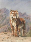 BONHEUR Rosa Marie Tiger In A Mountain Landscape BONHEUR Rosa Marie Tiger In A Mountain Landscape
