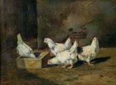 BONHOMME ETIENNE Gallinas BONHOMME ETIENNE Gallinas