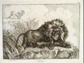 BONI Giovanni Raccolta Di Diversi Animali BONI Giovanni Raccolta Di Diversi Animali