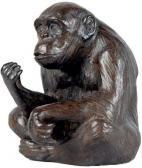 BORRAS Jorge Chimpanzé BORRAS Jorge Chimpanzé