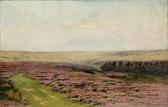 BOSKERCK van Robert Ward Flowering Prairie Landscape, Summer BOSKERCK van Robert Ward Flowering Prairie Landscape, Summer