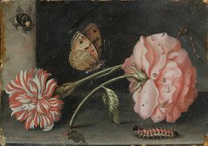 Abraham Bosschaert - A Pink Rose And A Red And White Carnation On Astone Ledge With A Bee, A Butterfly, A Dragonfly And Acaterpillar