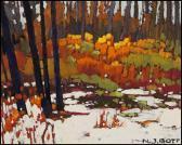 BOTT Nicolas J. November Snow ~ Smithers, Bc BOTT Nicolas J. November Snow ~ Smithers, Bc