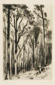 BOUDA Cyril Aset Of Five Graphic Sheets: Forest BOUDA Cyril Aset Of Five Graphic Sheets: Forest