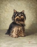 Bowden Margaret Yorkshire Terrier Bowden Margaret Yorkshire Terrier