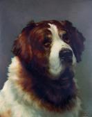 BRADLEY William H. Portrait Of A St. Bernard BRADLEY William H. Portrait Of A St. Bernard