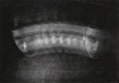 BRAGAGLIA Antonio Giulio Giovane Che Si Dondola, Fotodinamica BRAGAGLIA Antonio Giulio Giovane Che Si Dondola, Fotodinamica