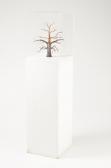 BRANCO MIGUEL Untitled BRANCO MIGUEL Untitled