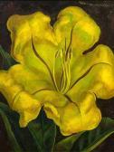 BRANDENBERG Michael Still Life Flower BRANDENBERG Michael Still Life Flower