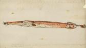 BRANDES Jan Fish Study BRANDES Jan Fish Study