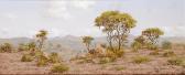 BREDENKAMP Henry Bushveld Landscape South Africa BREDENKAMP Henry Bushveld Landscape South Africa