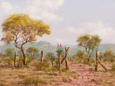 BREDENKAMP Henry Bushveld Landscape With Aloes BREDENKAMP Henry Bushveld Landscape With Aloes