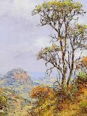 BREDENKAMP Henry Bushveld Landscapes With Aloes BREDENKAMP Henry Bushveld Landscapes With Aloes