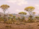 BREDENKAMP Henry Bushveld Scenes BREDENKAMP Henry Bushveld Scenes