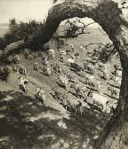 BREITENBACH Josef Untitled BREITENBACH Josef Untitled