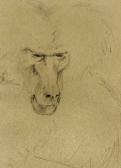 BRENNER Hildegard Untitled BRENNER Hildegard Untitled