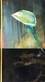 Brenner Gerd Untitled (calla) Brenner Gerd Untitled (calla)